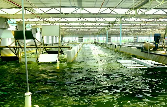 变废为宝！全国首个“二氧化碳养殖藻类制建材”项目成功投产