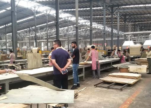 Where is a good place to purchase plywood machinery?
