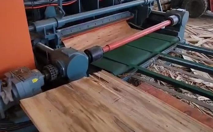 a manufacturer of wooden veneer production lines