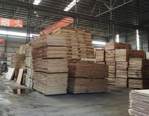 What should be noted in the production of poplar veneer